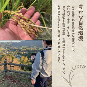 米 玄米 10kg （ 5kg × 2袋 ）アキサカリ 令和7年度産 米 米 米