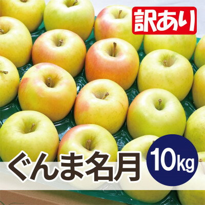 【ふるさと納税】【25年11月より順次発送】平均糖度13度以上! ぐんま名月 約10kg 訳あり【配送不可地域：離島・沖縄県】【1667960】