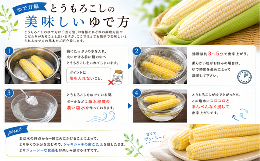 【令和9年産先行予約】 とうもろこし （雪の妖精）8本 定期便 2回 黒木農場