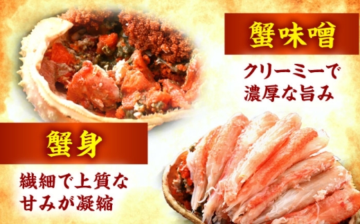 「若狭小浜港産地直送」 冷凍 セイコガニ (コッペガニ) ボイル 5杯 / 冷凍カニ 蟹 メズガニ 小浜市 / 加福鮮魚【配送不可地域：北海道・沖縄・離島】 [BFBC006] 