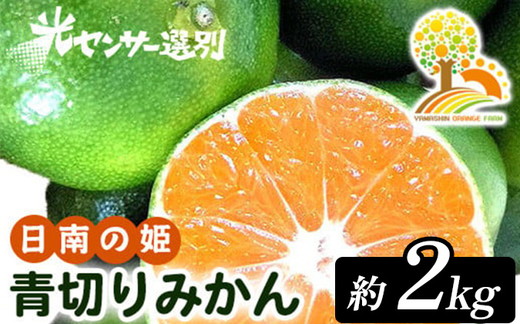 こだわりの青切りみかん 約2kg 農家直送 有機質肥料 100% サイズ混合 ｜ みかん 柑橘 果物 くだもの 果実 フルーツ 和歌山 有田 ※北海道・沖縄・離島への配送不可 ※2025年9月下旬～10月上旬頃に順次発送予定