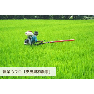 ふるさと納税 阿賀野市 【令和7年産】【5回定期便】阿賀野市産「新之助」5kg(5kg×1袋)×5回 安田興和農事 |  | 02