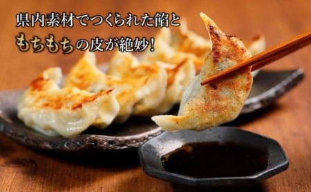 ミシュランガイド掲載】点心専門店の手づくり焼き餃子30個（タレ・作り方付き） ( 餃子 加工品 加工 惣菜 レトルト 愛媛県松山市 愛媛県 松山市 愛媛 松山 餃子 加工品 餃子 加工 餃子 惣菜 餃