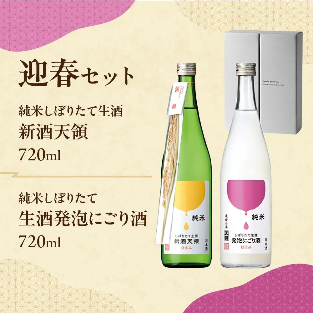 先行予約（2026年11月上旬頃から順次発送）（迎春セット）純米しぼりたて生酒　新酒天領 720ml・純米しぼりたて 生酒発泡にごり酒 720ml【2-38】