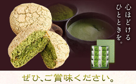 菊池銘菓 抹茶 ブッセ 1箱 8個入り 有限会社中原松月堂 《30日以内に出荷予定(土日祝除く)》 熊本県 和菓子菊池市 和菓子 洋菓子 お菓子 焼き菓子 菓子折り 銘菓 抹茶 ブッセ デザート スイ