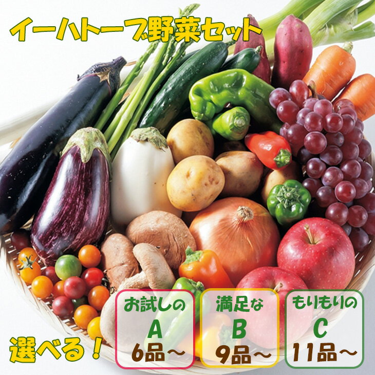 【ふるさと納税】いわて花巻産 イーハトーヴ野菜セット ≪選べる内容量！ お試しセット(6品～) or 満足セット(9品～) or もりもりセット(11品～)≫ 旬 野菜 果物 お楽しみ