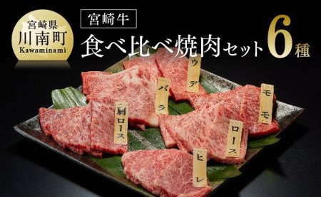 宮崎牛 焼肉 6種 食べ比べセット【 肉 牛肉 黒毛和牛 国産牛肉 九州産牛肉 宮崎県産牛肉 肉質等級4等級以上の牛肉 牛 ヒレ カルビ ロース カタロース モモ ウデ フィレ セット牛肉 焼肉セット 600g 牛肉】