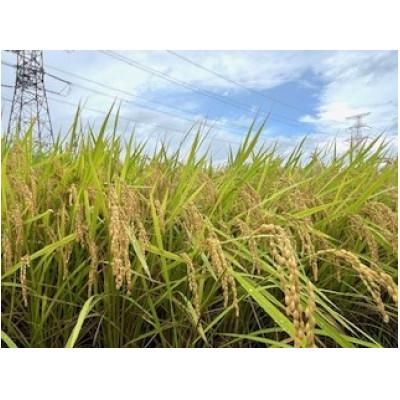 ふるさと納税 川西町 令和6年産 山形県産【雪若丸】精米 5kg(5kg×1袋) |  | 02