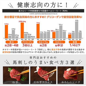 【フジチク】熊本と畜 ふじ馬刺し 特選8種 詰め合わせ 赤身 霜降り 高級 希少部位 三枚バラ 大トロ 中トロ ヒレ ロース ランプ 上赤身 ネギトロ 専用たれ 計610g 冷凍 真空パック ISO2