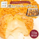 【ふるさと納税】瞬間冷凍 ベルクール 焼きたてシュークリーム 10個セット J01032 スイーツ 洋菓子 ギフト デザート おやつ 個包装 手土産 冷凍配送 送料無料