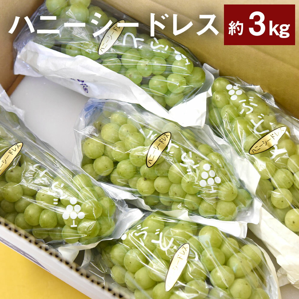 【ふるさと納税】熊本県 湯前町産 爽やかな甘さ! ハニーシードレス 約3kg 白ぶどう 白葡萄 葡萄 フルーツ 果物 旬 湯前町 送料無料【2026年8月下旬～9月上旬発送開始予定】