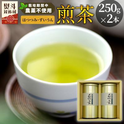 ふるさと納税 東白川村 栽培期間中 農薬不使用! 煎茶 ギフト NO.1 (はつつみ ずいうん各250g) 常磐園 日本茶