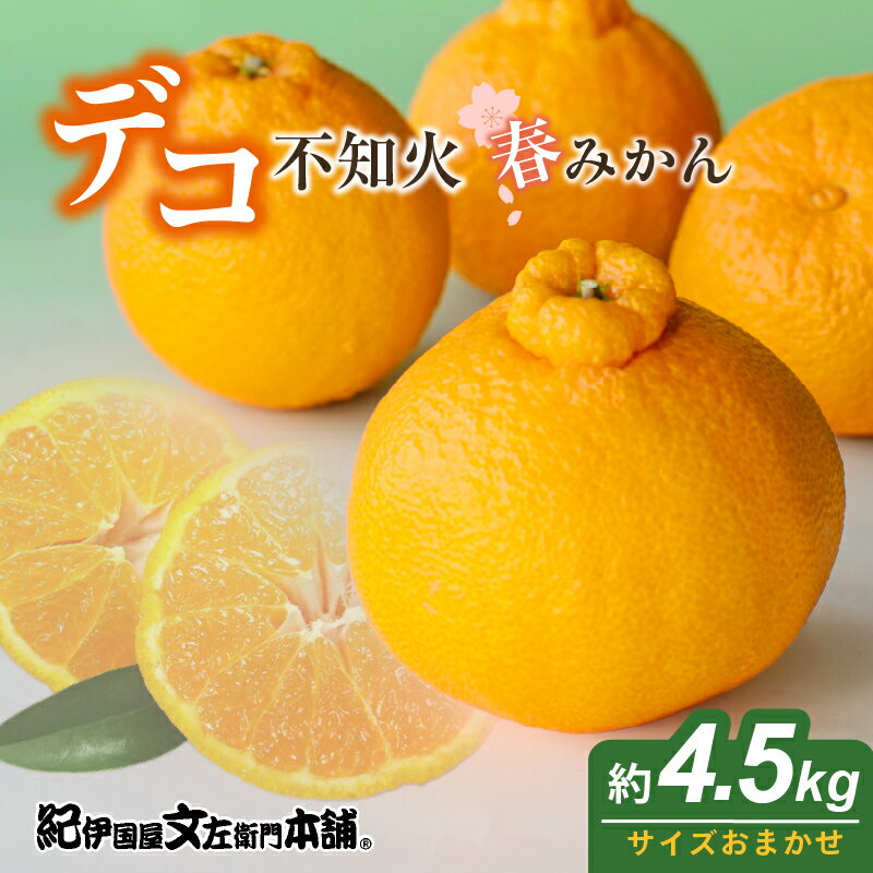 【ふるさと納税】「デコ」 不知火 約4.5kg 湯浅町田村産 (果実サイズおまかせ) 春みかん 紀伊国屋文左衛門本舗