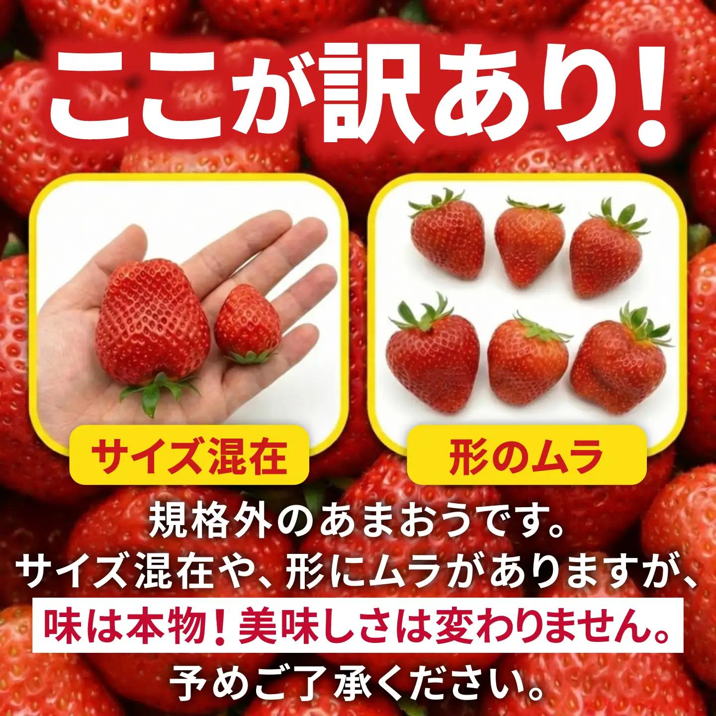 【先行受付】【訳あり】あまおう 4パック いちご 270g×4パック(1.08kg)　【2027年1月以降順次発送】 / 果物 苺 / 糸島市 / 株式会社フルコンス[ALO003]