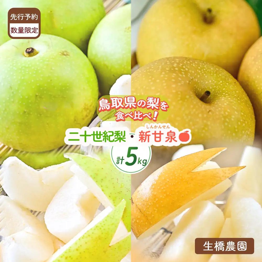 梨 新甘泉 二十世紀梨 食べ比べ 5kg (生橋農園)  鳥取県産