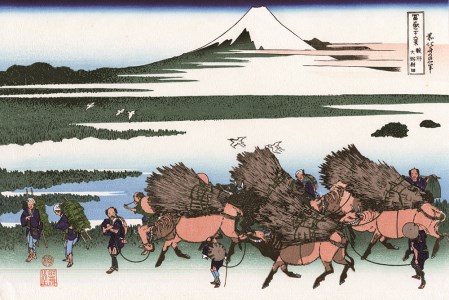 富士の魅力を「知る」～いただきへの、はじまり　富士市～B（1259）