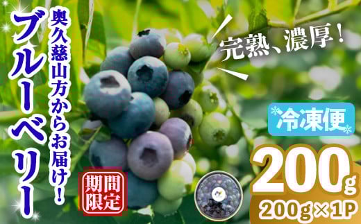 
            冷凍ブルーベリー200g ブルーベリー 果物 フルーツ 青果物 冷凍 スムージー ヨーグルト おやつ 【奥久慈 まほろばの郷 ふれあい農園】【ho1520】
          