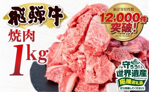 『とにかく白川村を応援コース（倍応援）』訳あり 飛騨牛 焼肉用 切り落とし肉 1kg 25000円 訳アリ 焼き肉用 切り落とし 切落し 牛肉 肉 バーベキュー BBQ セット 和牛 焼肉 部位おまかせ ごちそう 贅沢飛騨牛  JA ひだ 大容量 人気 おすすめ アウトドア  国産 冷凍 [S201]