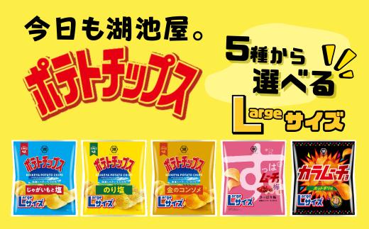 
            湖池屋のLサイズポテトチップス　12袋　（５種から選べる！）　ポテトチップス ポテチ じゃがいも 湖池屋 おやつ お菓子 スナック菓子 
          