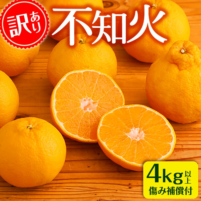 【ふるさと納税】《2026年発送》【数量・期間限定】訳あり 不知火 4kg みかん オレンジ 晩柑 果肉 濃厚 傷み補償 訳あり品 家庭用 自宅用 サイズ サイズ混合 つぶ感 甘味 酸味 露地栽培 柑橘 柑橘類 果物 フルーツ 果実 お取り寄せ グルメ 宮崎県 宮崎市 送料無料