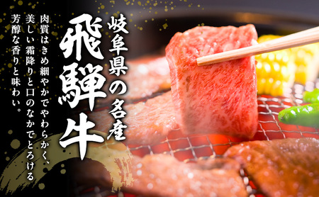 【定期便3ヶ月】牛肉 飛騨牛 焼き肉 セット 赤身 モモ 又は カタ 500g 黒毛和牛 Ａ5 美味しい お肉 牛 肉 和牛 焼肉 BBQ バーベキュー 【岐阜県瑞穂市】