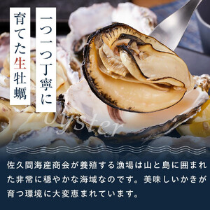 宮島の冷凍かき (殻付き牡蠣) 20個 牡蠣