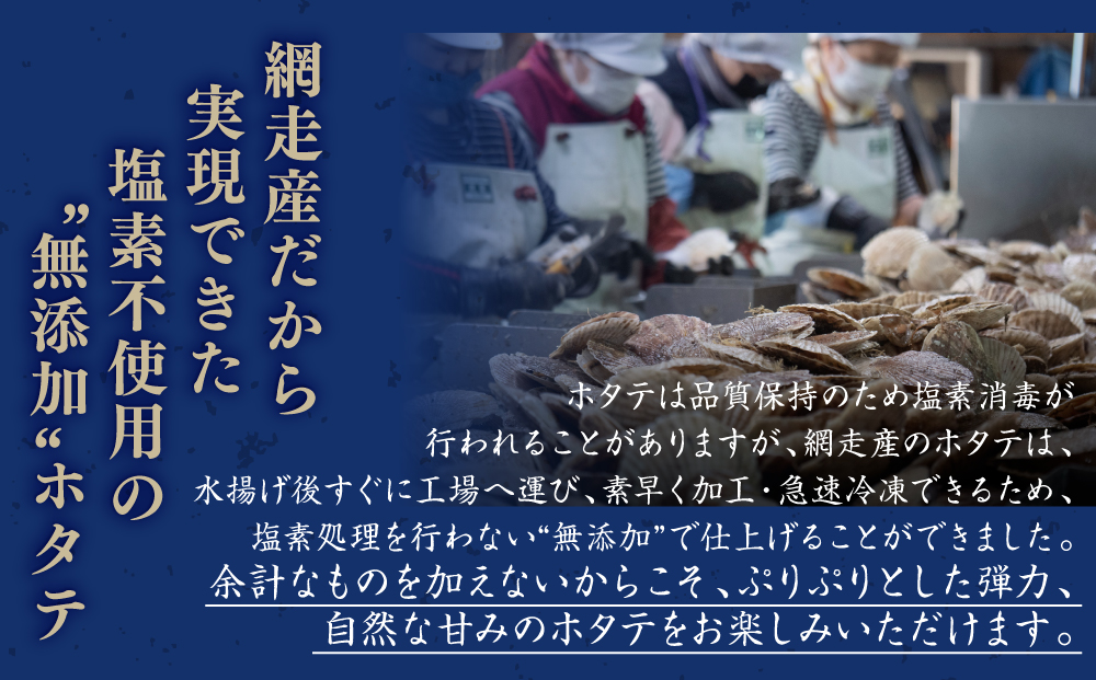 網走前浜産 無添加ホタテ貝柱【 500g (500g×1) 】 ABAI038