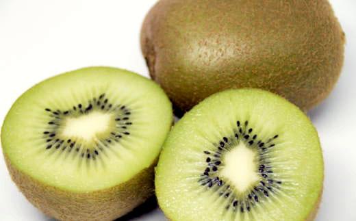 ［人気］有田産キウイフルーツ約3.6kg（サイズおまかせ）★2026年１月下旬頃より順次発送