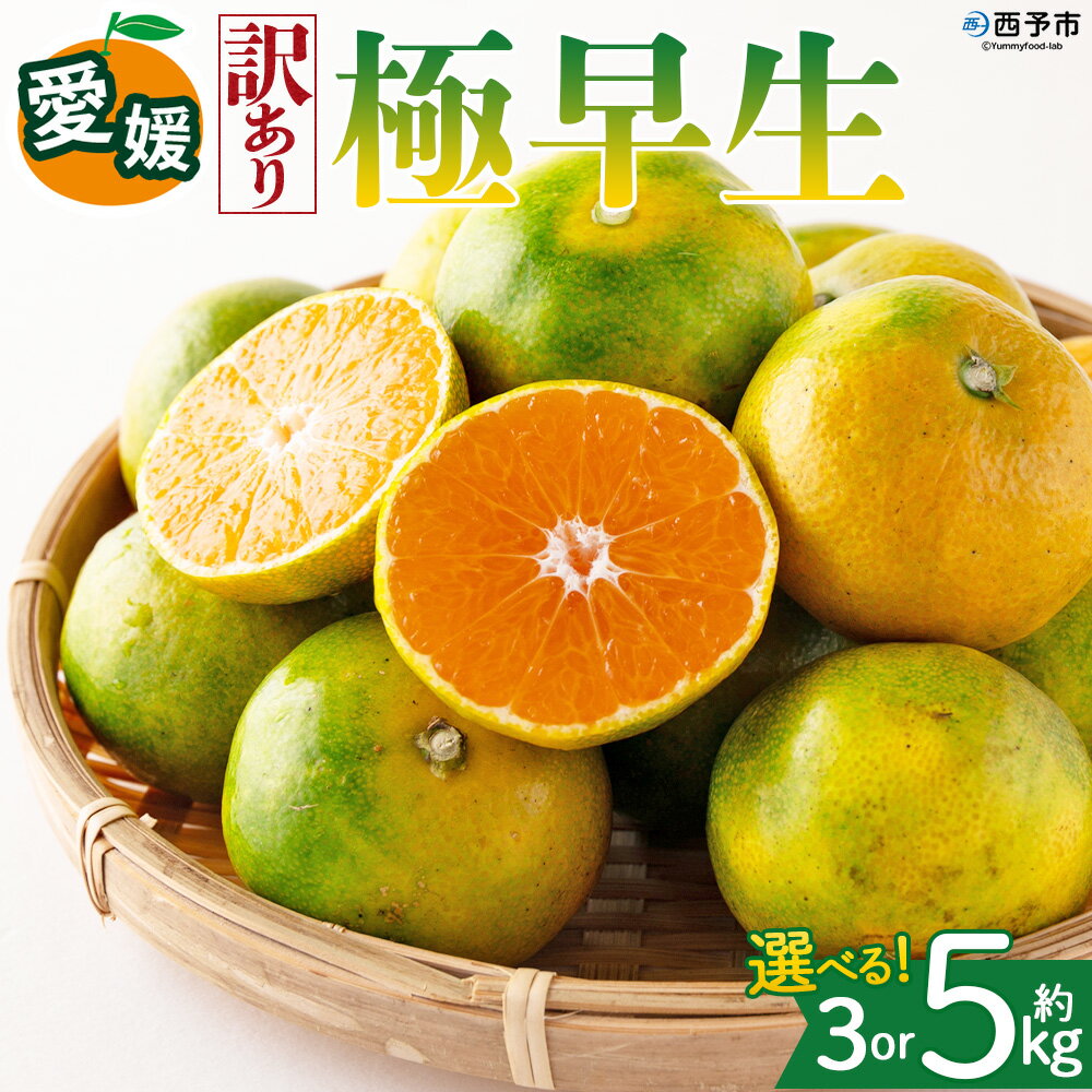【ふるさと納税】＜【訳あり】愛媛県産 極早生 約3kg／5kg＞『2026年10月上旬～11月下旬迄順次発送予定』 選べる 容量 内容量 わけあり 訳アリ ごくわせ みかん 蜜柑 訳あり 果物 くだもの フルーツ ミカン 果汁 国産 特産品 株式会社三代目みかん職人 愛媛 西予市【常温】