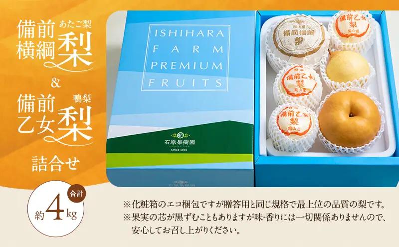梨 2026年 先行予約 備前横綱梨（あたご梨） 2玉（1玉1～1.5kg） 岡山県産 梨