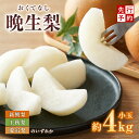 【ふるさと納税】【先行予約】梨 晩生梨 4kg 小さめサイズ（1玉350g～420gを10～12玉）新興梨 王秋梨 愛宕梨 季節に応じて配送 香美町 香住産 果物 フルーツ ナシ なし 果物 くだもの あたご梨 晩生 和梨 糖度【納期：10月中旬から発送】 送料無料