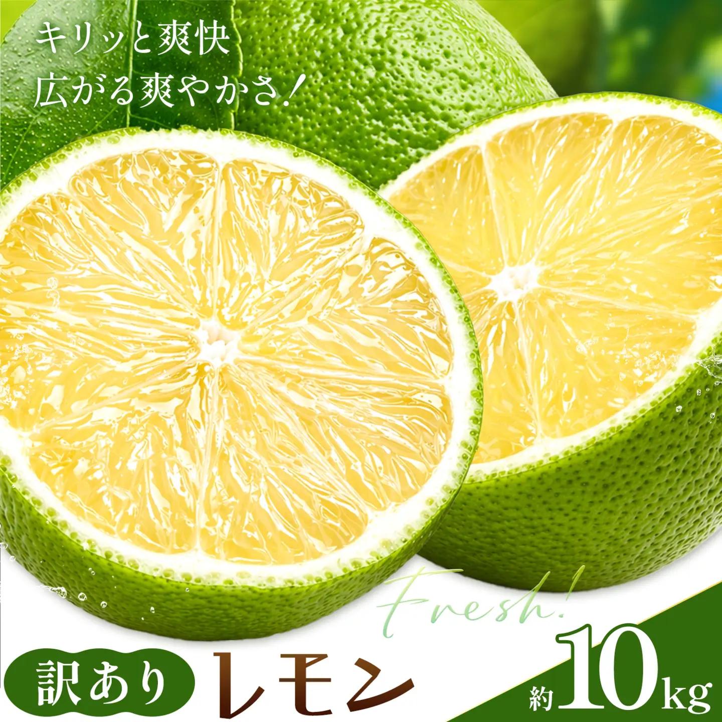 レモン 訳あり 緑色 檸檬 10kg (1kgあたり5-12玉前後) 株式会社農業福祉研究機構《10月上旬-11月上旬頃出荷》和歌山県 紀の川市 フルーツ 果物 お取り寄せフルーツ