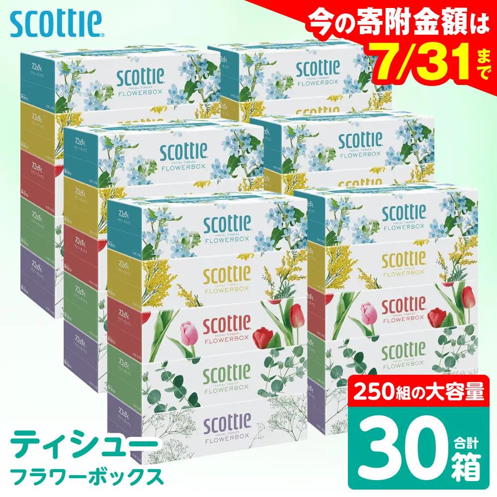 スコッティ ティッシュ 250組 30箱 ティシュー