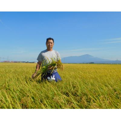 ふるさと納税 酒田市 山形県酒田市　コシヒカリ10kg　玄米　令和8年産 農家直送 |  | 01