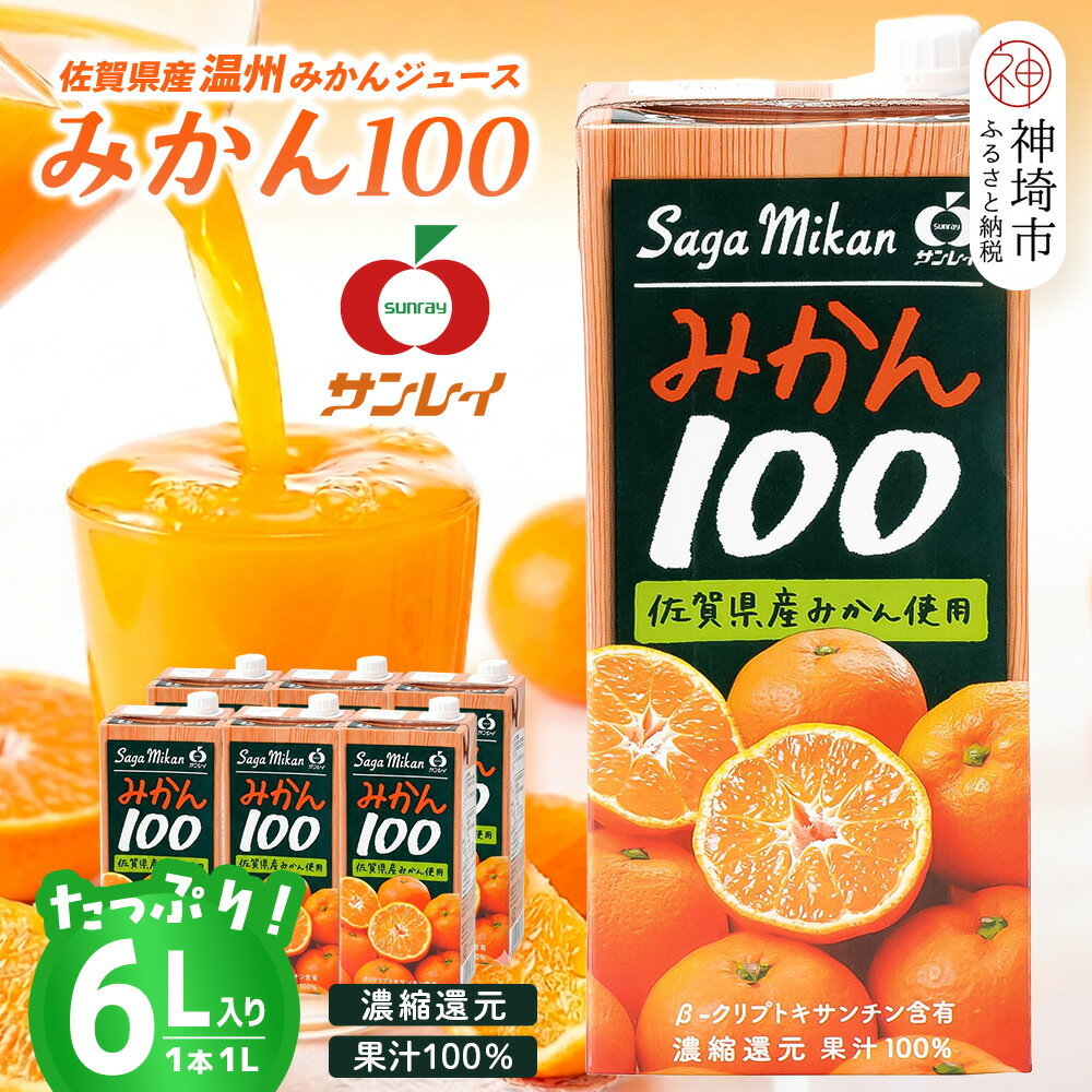 【ふるさと納税】みかん100 1L×6本入り【みかんジュース 蓋付 天然 果汁100％】(H116234)