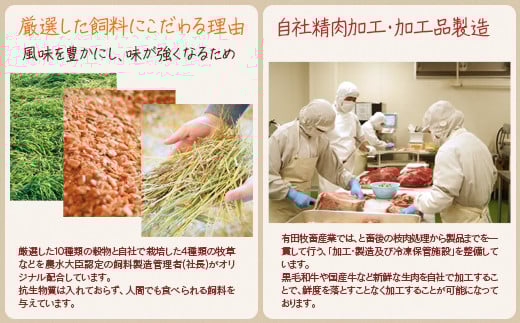 黒毛和牛 希少部位を含む特選焼肉500g 部位おまかせ 有田牧場＜1.6-35＞ 通常お届け