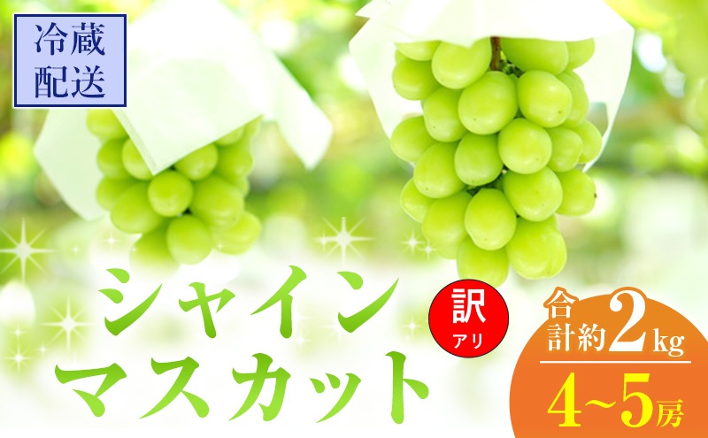 訳あり シャインマスカット 4～5房 合計約2kg 岡山県 高梁市産 2026年 先行予約 クール便 冷蔵 ぶどう フルーツ 葡萄 ブドウ 皮ごと 産地直送 大粒 爽やか 食べやすい