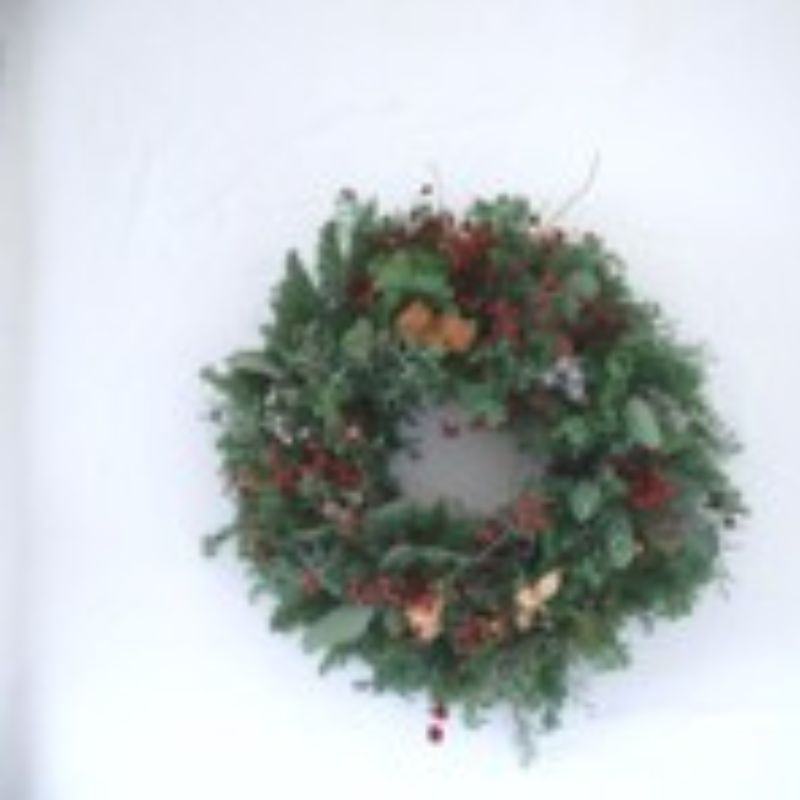 【ふるさと納税】クリスマスリース Sサイズ レッド ブラウン ※2023年11月8日～順次発送 植物 おしゃれ キレイ 癒し 暖かな雰囲気 針葉樹 赤い実 ブラウン系 インテリア グリーンアイテム自宅 玄関 店舗 　お届け：2025年10月29日～11月15日まで