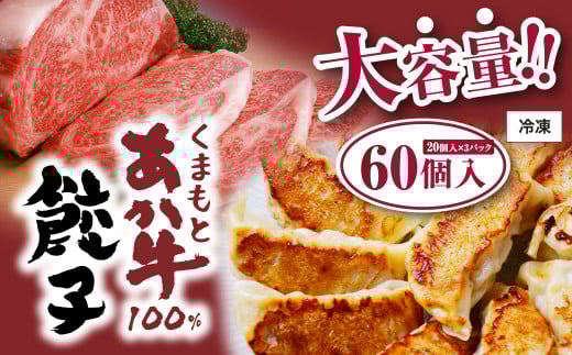 くまもとあか牛 100％ 餃子 合計60個 (20個入 1パック)×3パック 赤牛 あかうし