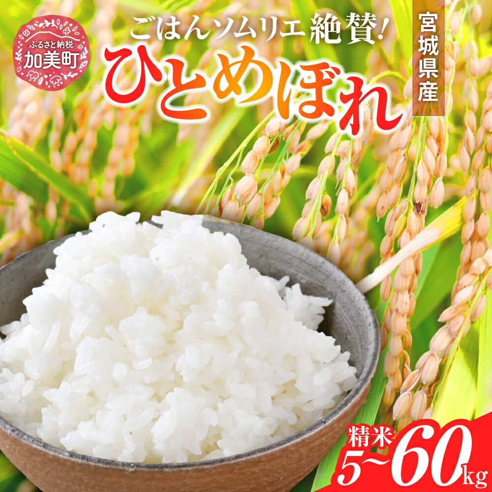 【ふるさと納税】新米 白米 令和6年産 宮城県産 ひとめぼれ 精米 5kg ～ 20kg | 2回 ～ 3回 定期便 (10kg ～ 60kg) | sg00001-r6 ＜菅原商店＞｜ 宮城県 加美町