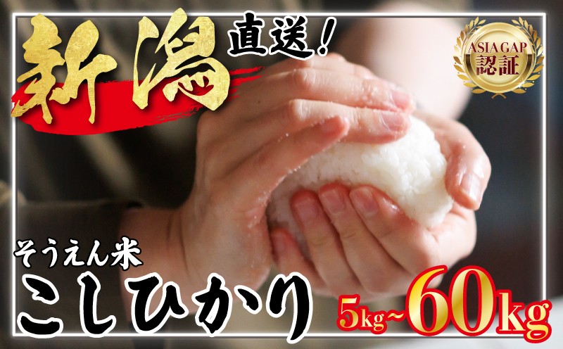 
                  令和7年産 新潟県産 コシヒカリ 5㎏～60kg 単品 定期便 新潟県 新潟産 新潟米 新発田産 新発田 お米 米 そうえん米コシヒカリ 5kg 10kg15kg 30kg 60kg 3か月 6か月 定期便 数量限定 とんとん市場 せいだ 新潟県 新発田市 とんとん市場のお米 D38_04P
                