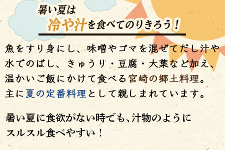 ＜宮崎郷土料理 冷や汁 10個セット＞翌月末迄に順次出荷【 冷や汁 郷土料理 ご飯 味噌 ごはん ご飯 ソーメン つけ汁 漬け汁 炒め物 汁もの 汁物 備蓄 ストック 】【a0043_ko】