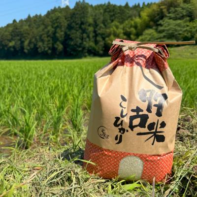 ふるさと納税 多古町 多古米セレクション　萩原佐千穂さんの多古米コシヒカリ　精米10kg　令和7年産 |  | 01