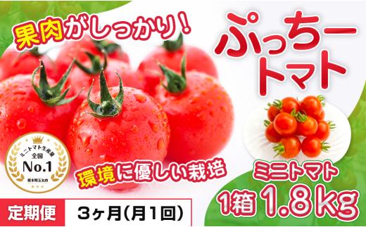 ぷっちートマト ミニトマト 1.8kg×3回 定期便 | 野菜 やさい ミニトマト ミニ とまと トマト 1.8kg 3回 定期便 リコピン 熊本県 玉名市