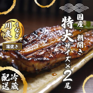 AK008_【土用の丑の日企画：7月28日冷蔵発送】朝開き国産うなぎ２尾（1尾あたり約200ｇ） 蒲焼き（タレ付）国産鰻 ウナギ