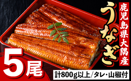 【C57003】うなぎ蒲焼・大(有頭)(5尾・計800g以上)(タレ・山椒付)鹿児島 国産 鰻 うなぎ ウナギ 蒲焼き うな丼 うな重 ひつまぶし 土用の丑の日 真空パック お土産 贈答 ギフト プレゼント【一般社団法人きもつき宇宙協議会】