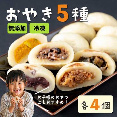 ふるさと納税 東御市 信州産 手作りおやき 季節の5種20個 詰め合わせ|無添加 食べ比べ 冷凍【北御牧村味の研究会】