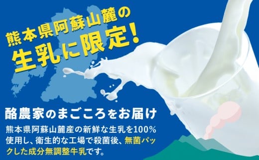牛乳 常温保存可能 成分無調整 生乳100％使用 大阿蘇牛乳 紙パック 250ml×24本 合同会社たべたせいか《30日以内に出荷予定(土日祝除く)》熊本県 産山村 牛乳 乳飲料 乳性飲料 ドリンク 