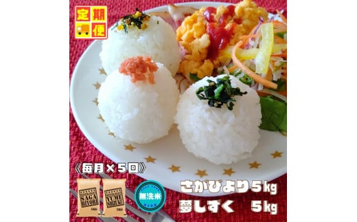 CI754【無洗米食べ比べ！】さがびより５㎏夢しずく５㎏【５回定期便】