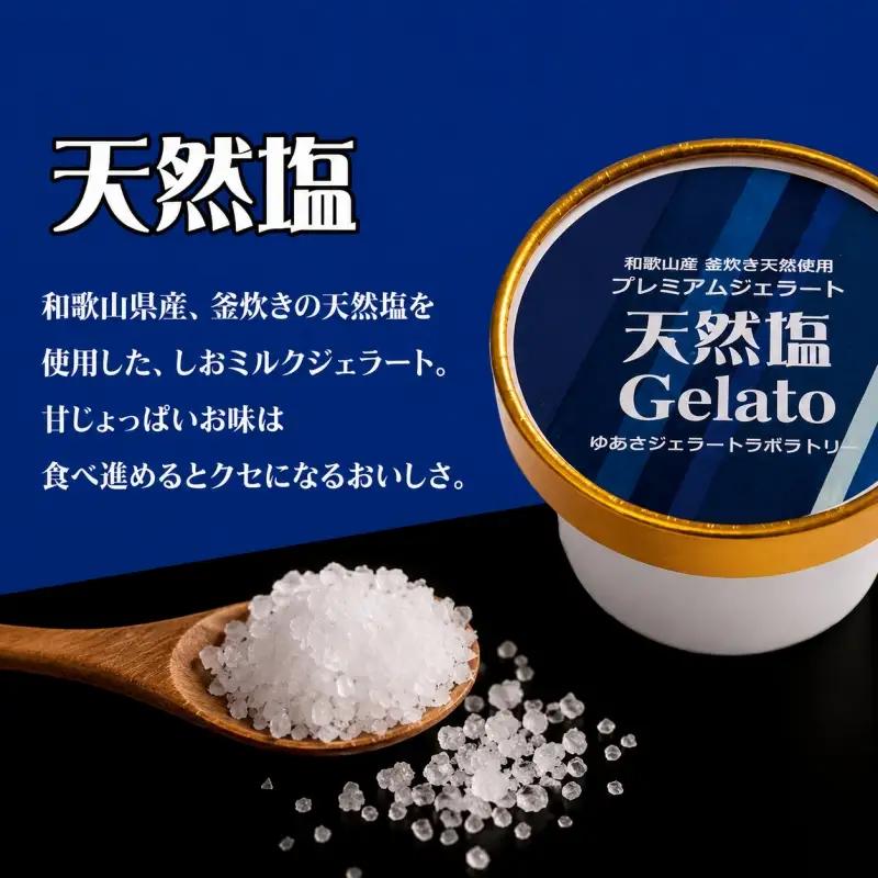 プレミアムジェラート 天然塩12個セット アイスクリームセット 100mlカップ ゆあさジェラートラボラトリー【ntb700-04】